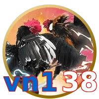 vn138