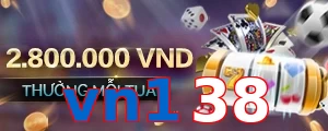 vn138